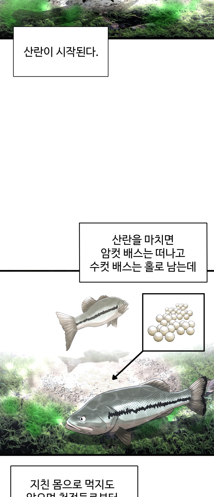 25 페이지
