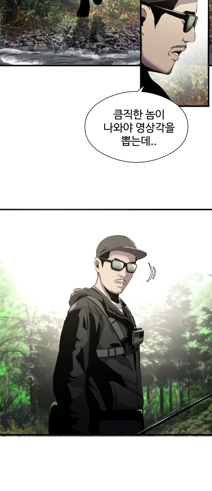 66 페이지