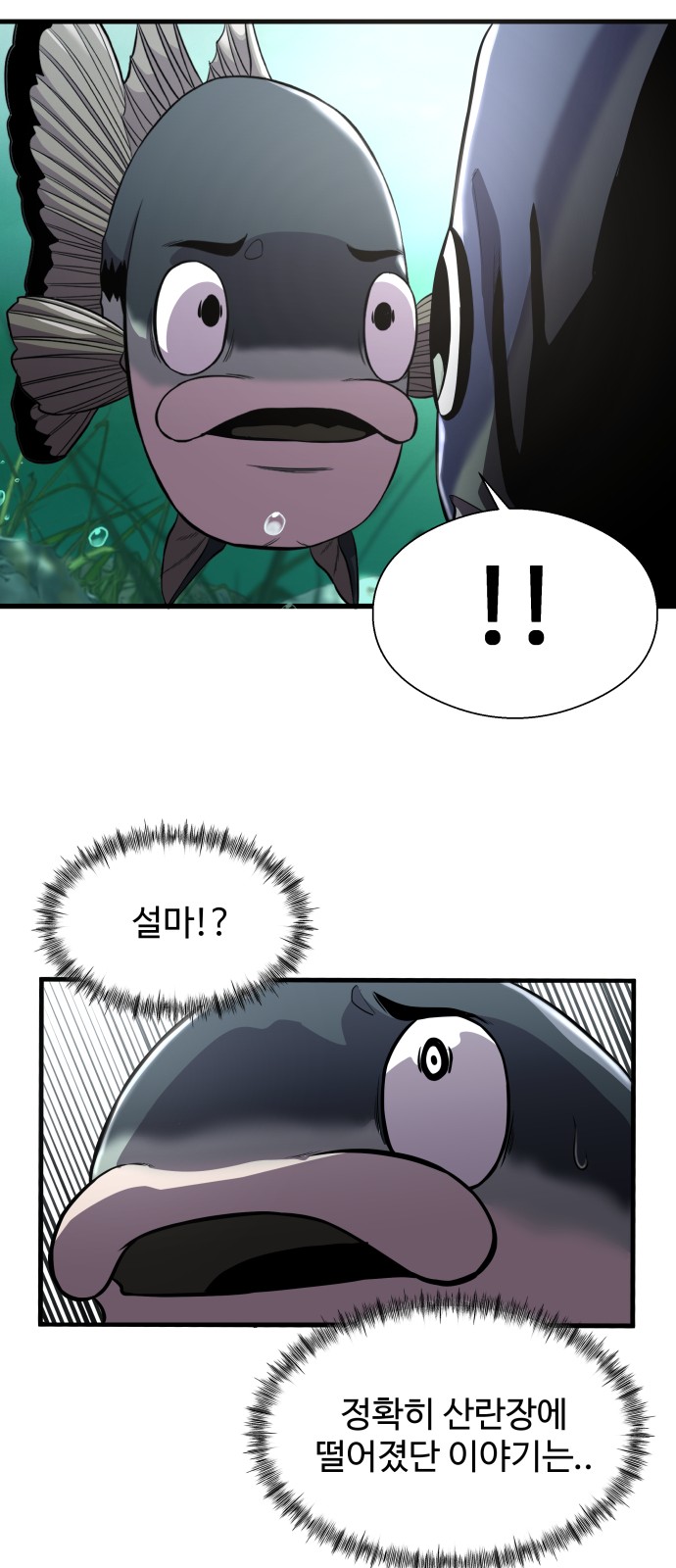 58 페이지