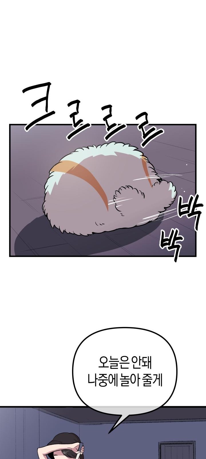 51 페이지
