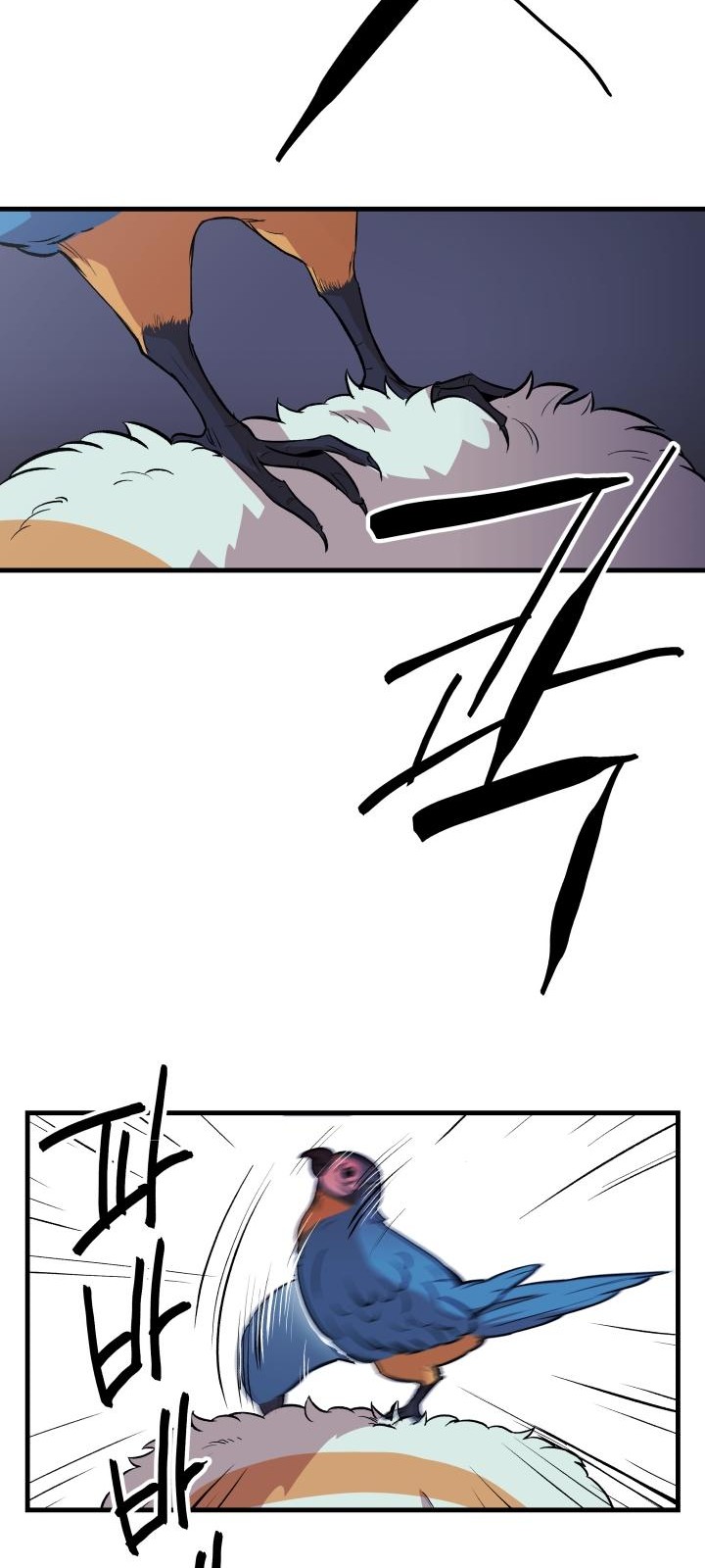 62 페이지