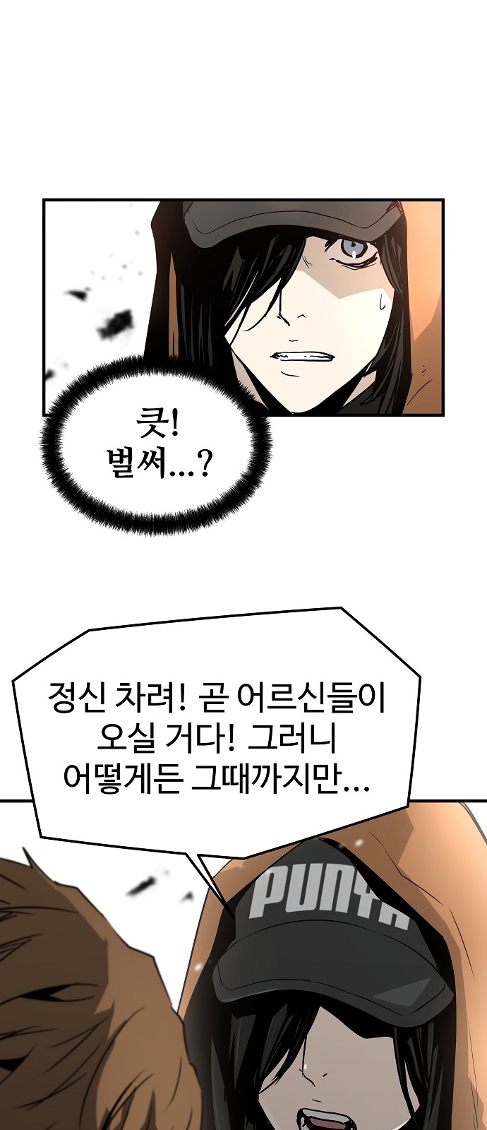 30 페이지