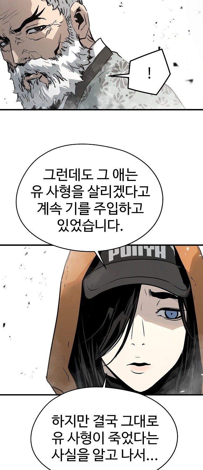 66 페이지