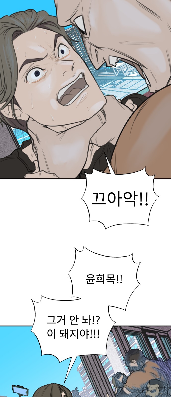 14 페이지