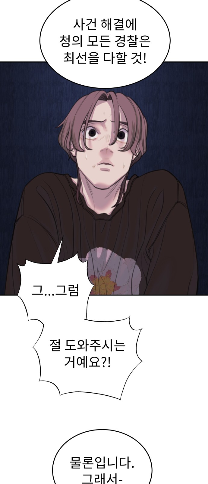 46 페이지
