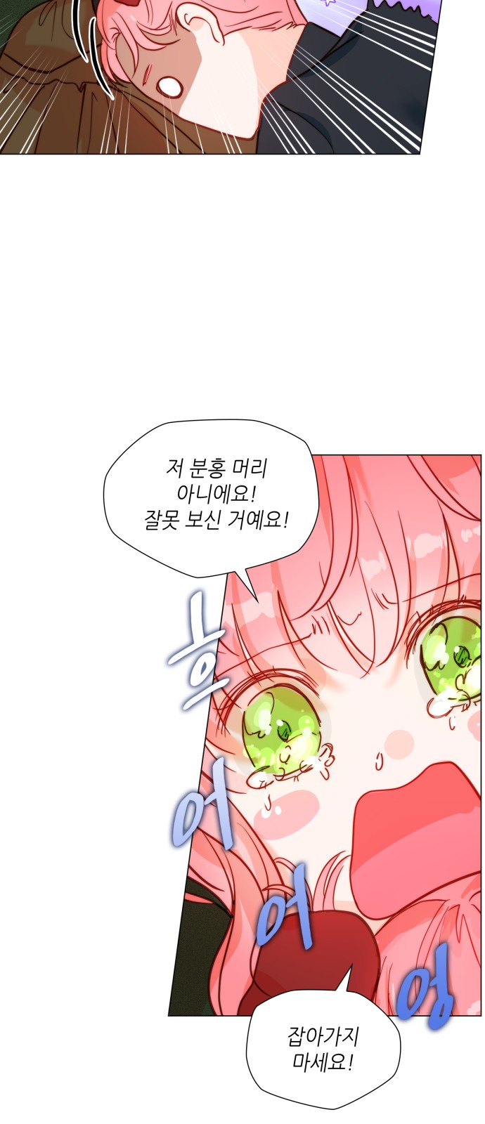 66 페이지