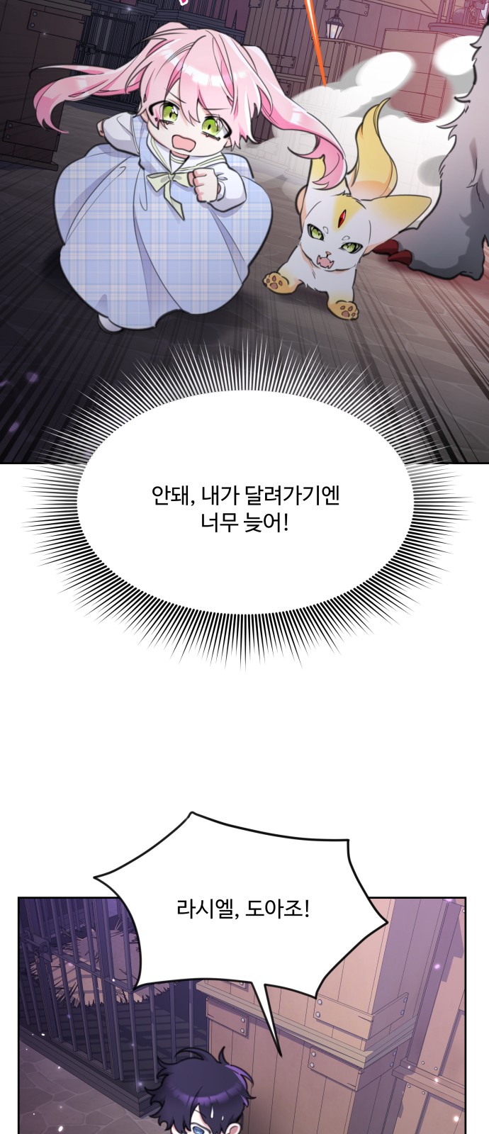 46 페이지