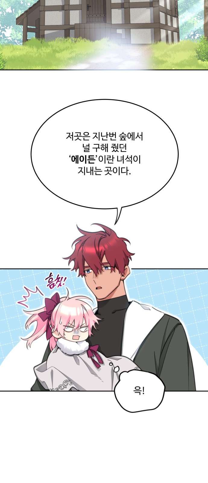 51 페이지