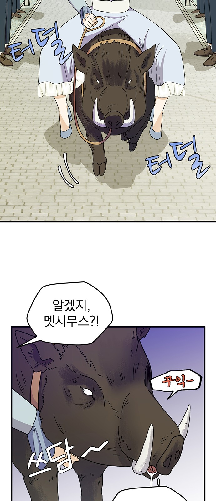 15 페이지
