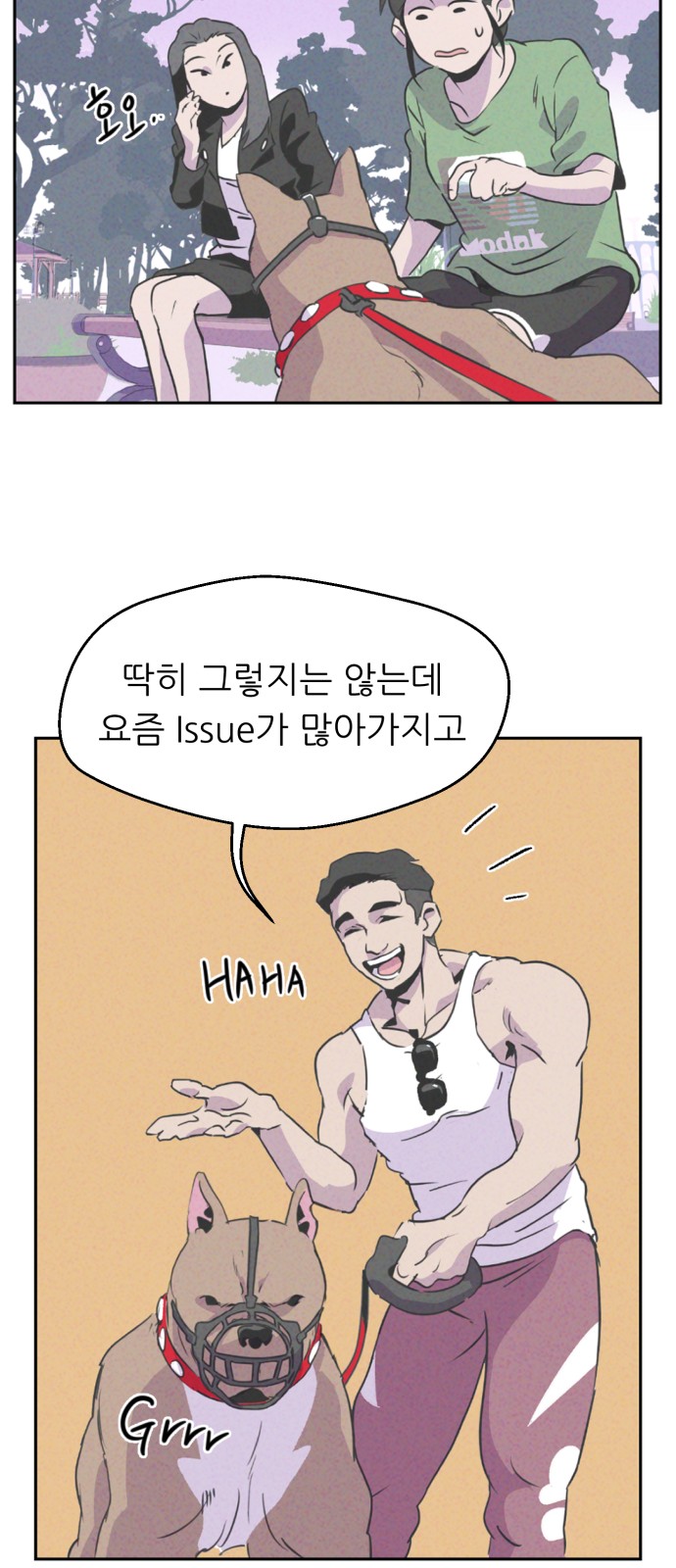 34 페이지