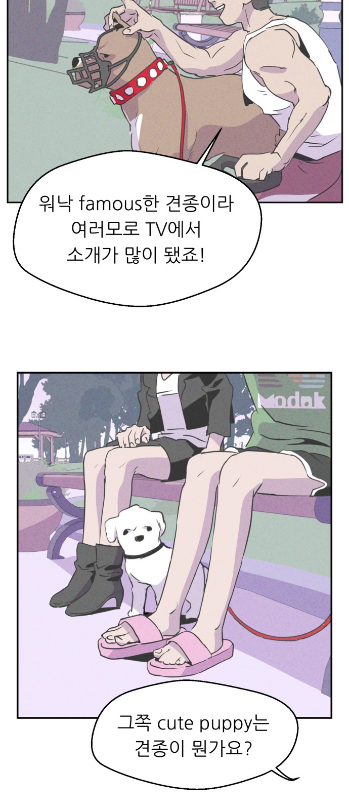 36 페이지