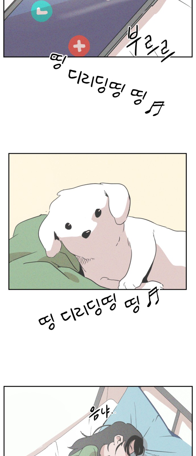 43 페이지