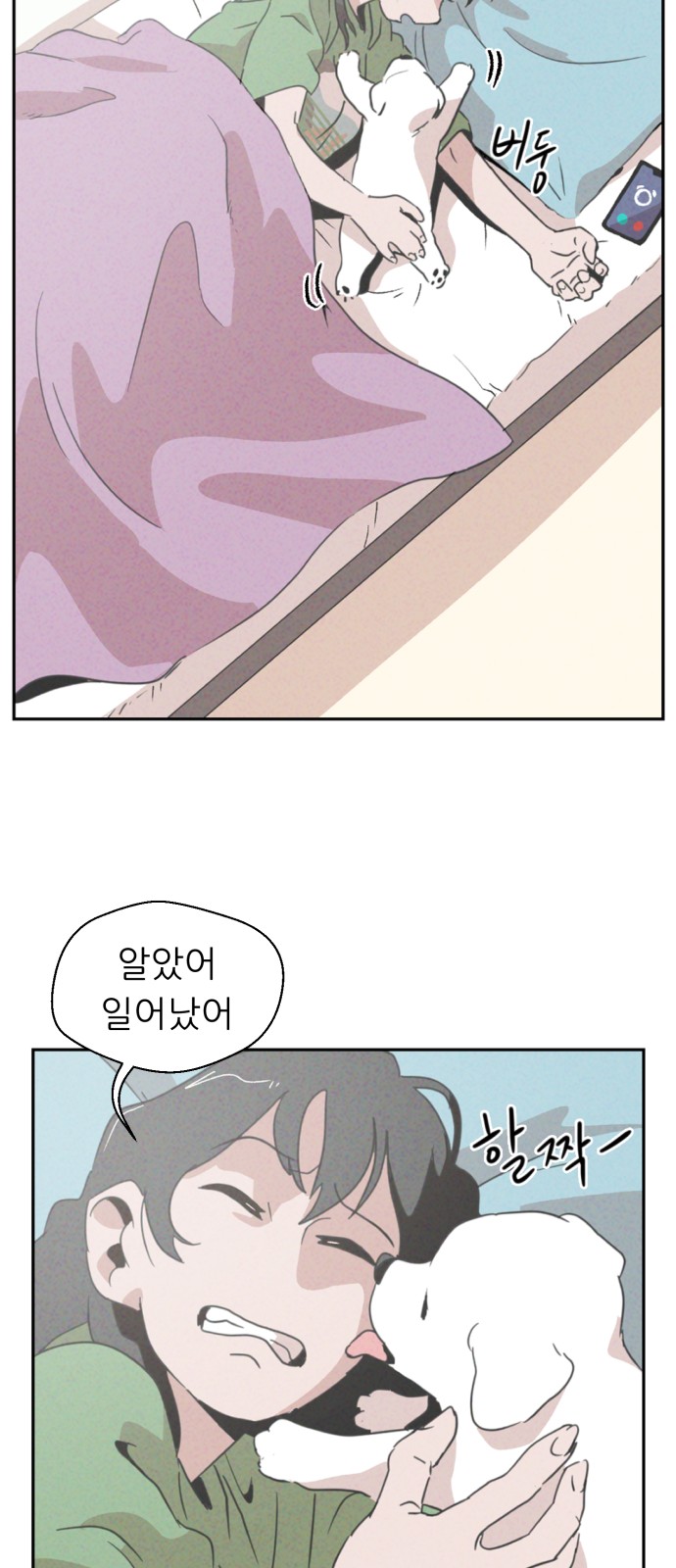 44 페이지