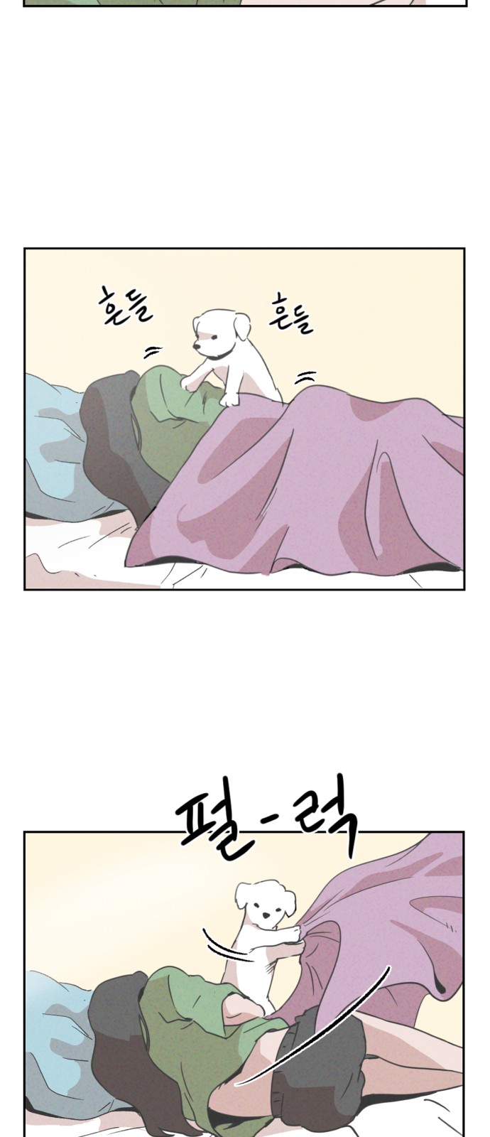 45 페이지