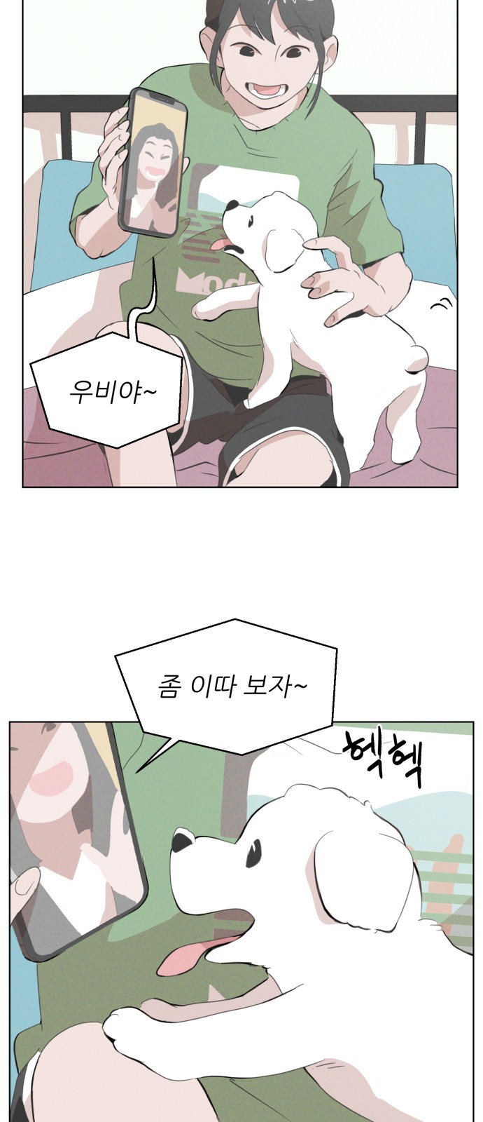 6 페이지