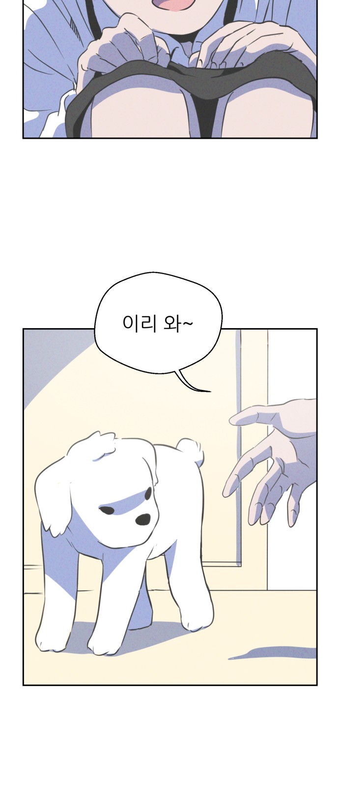 17 페이지