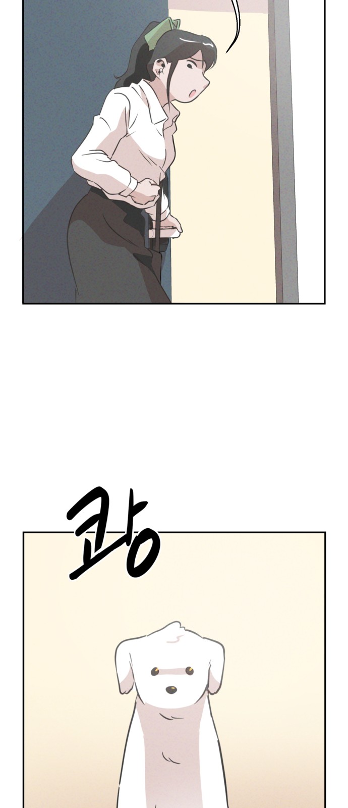 46 페이지