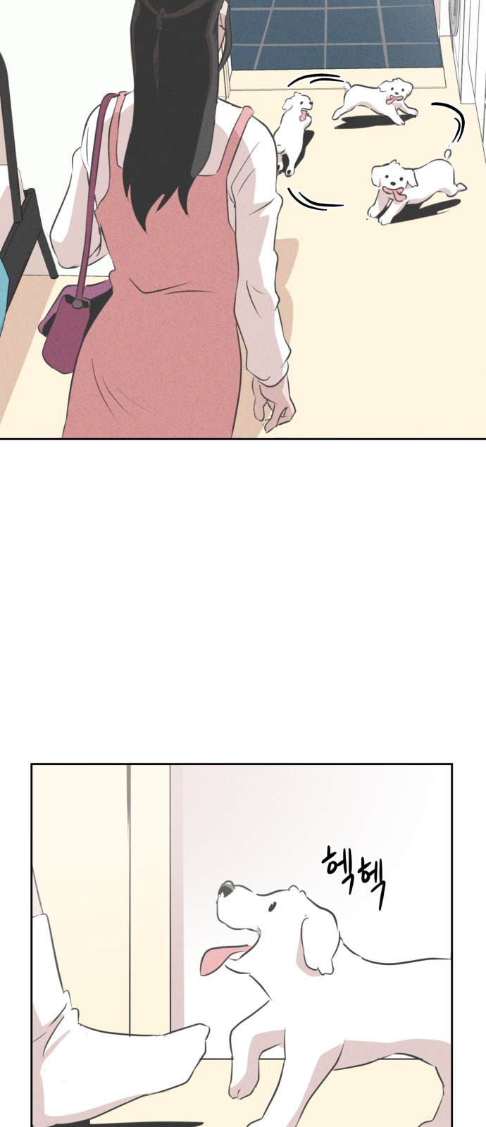 35 페이지