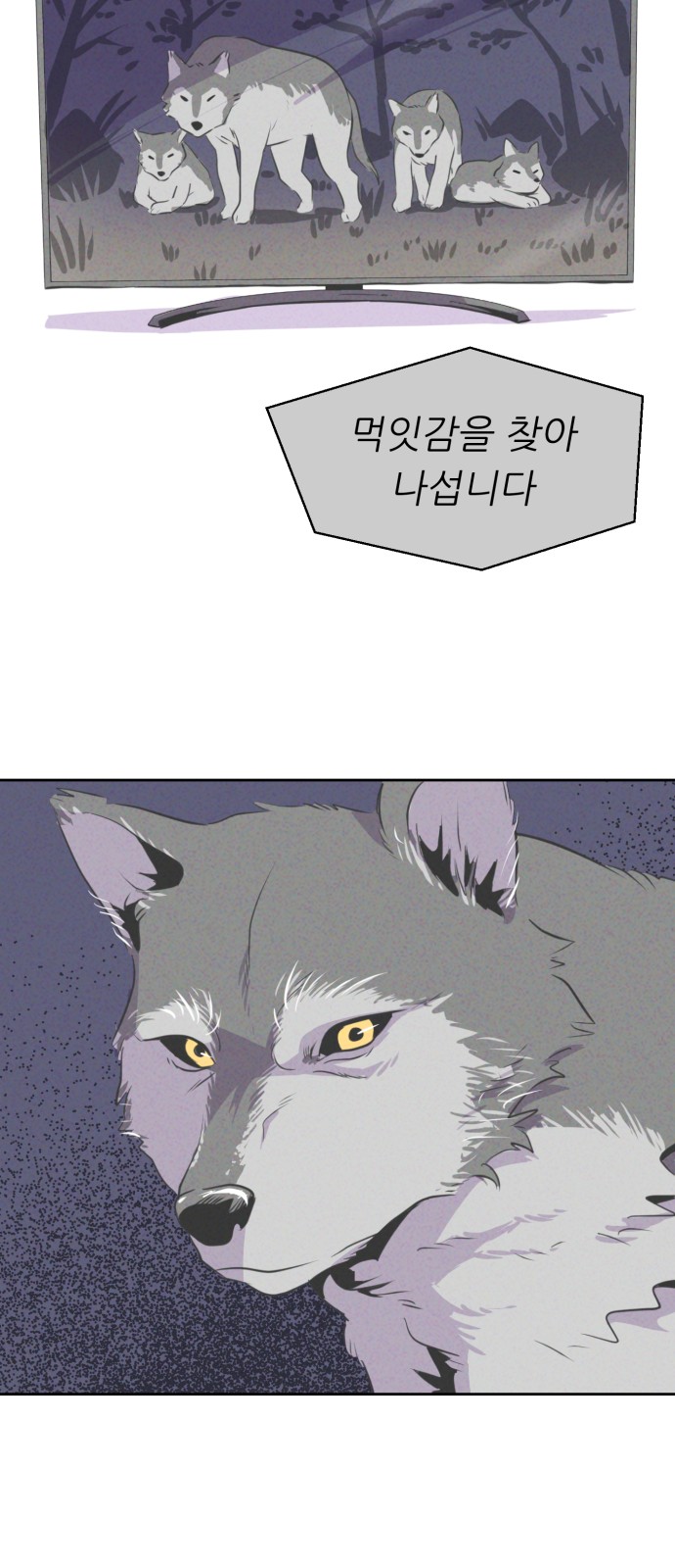 41 페이지