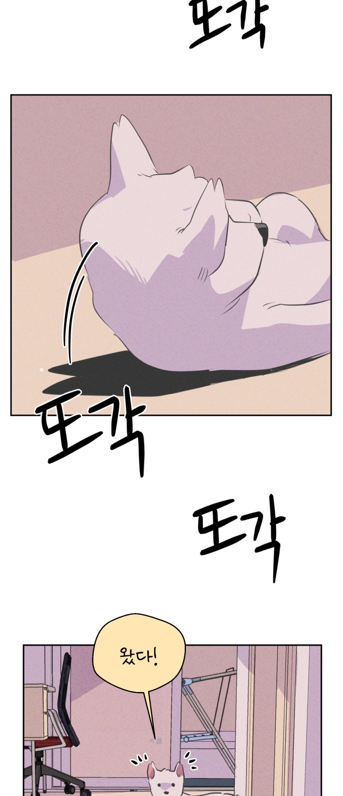 44 페이지
