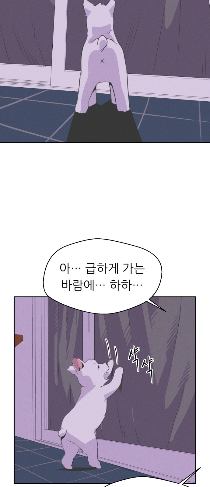 52 페이지