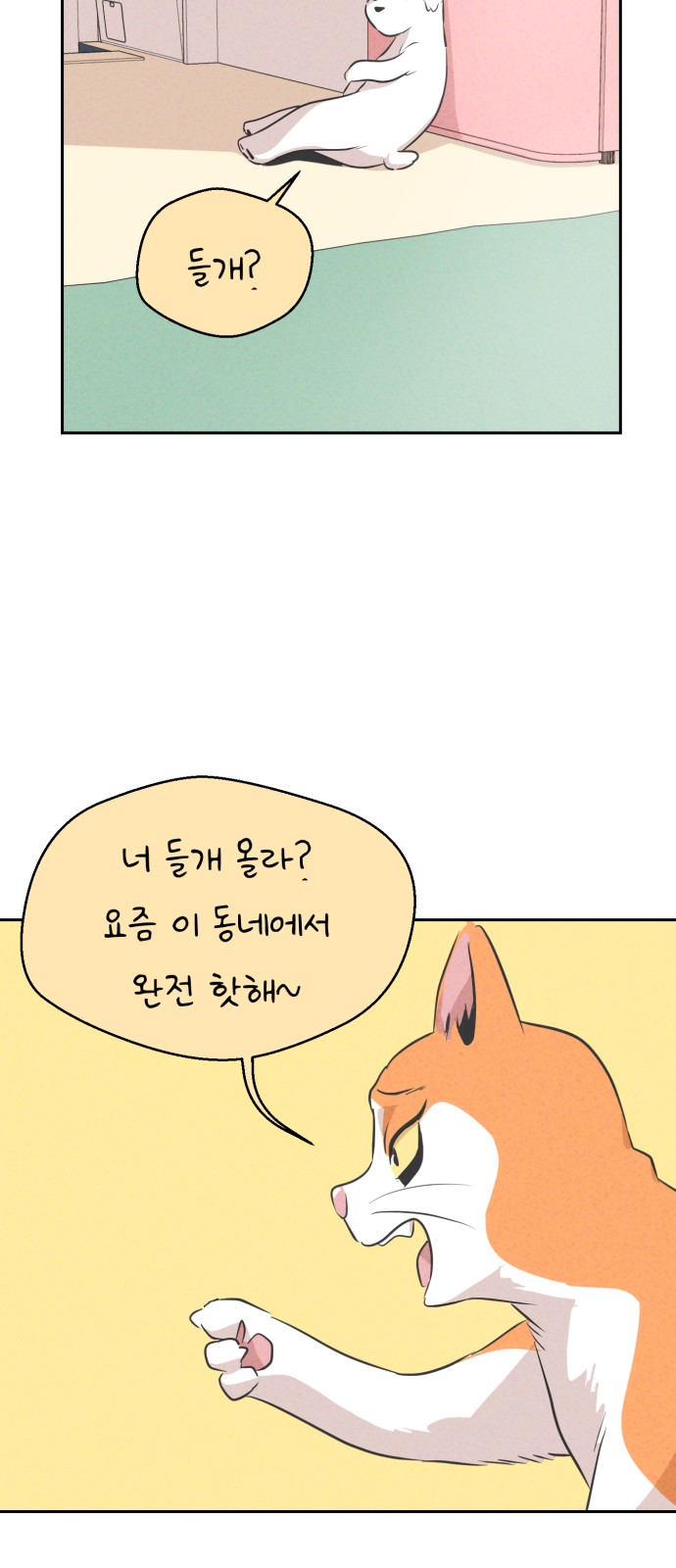 43 페이지