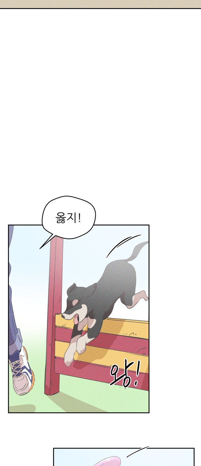 50 페이지