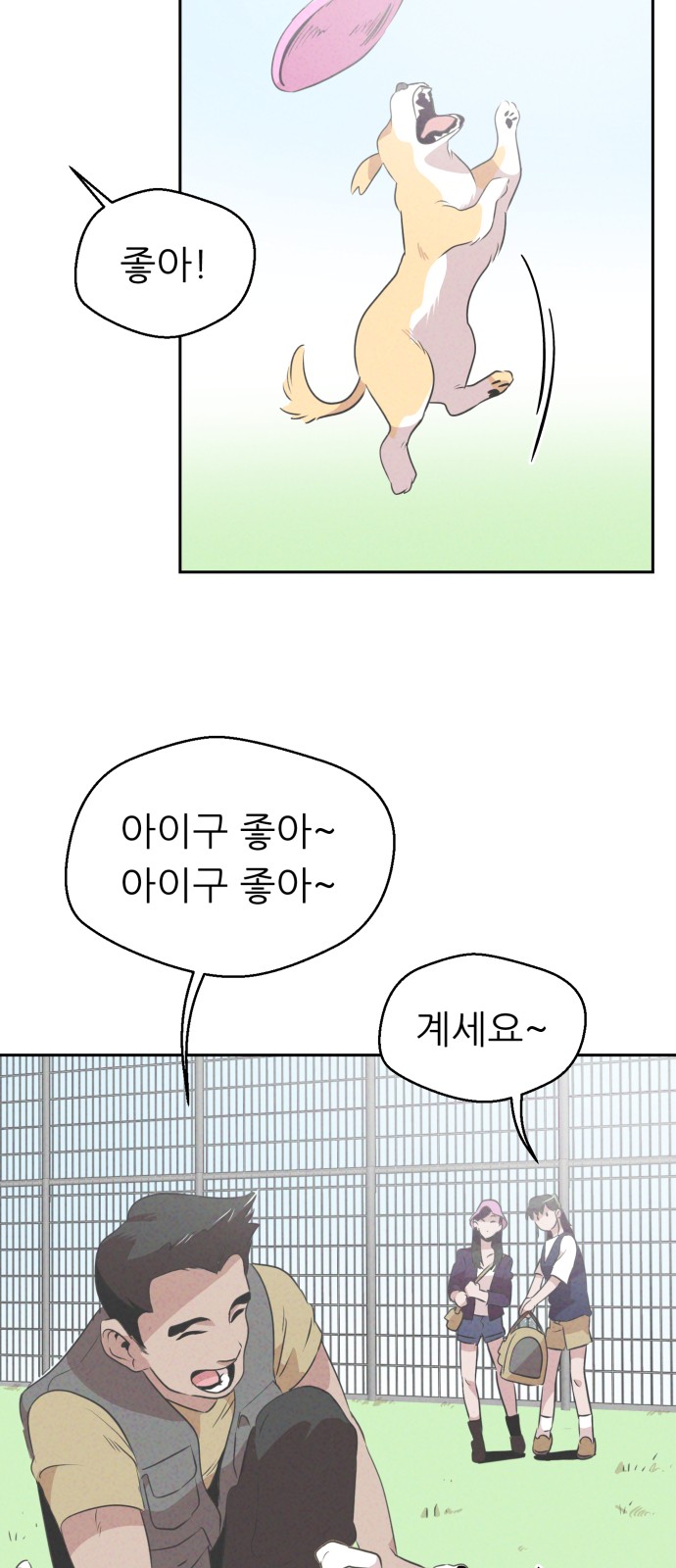 51 페이지