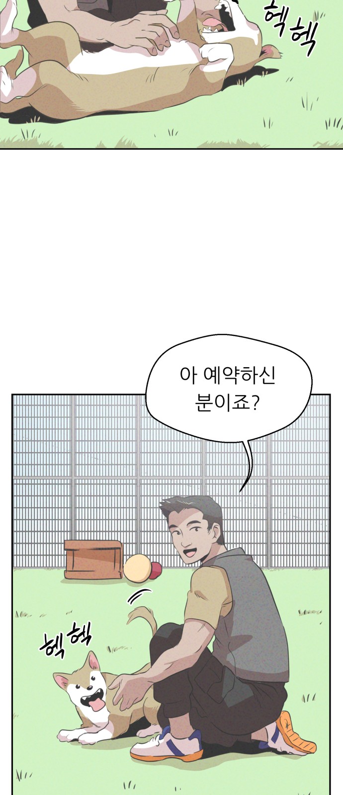 52 페이지