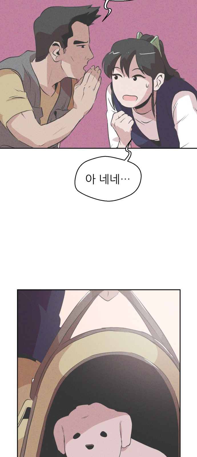 35 페이지