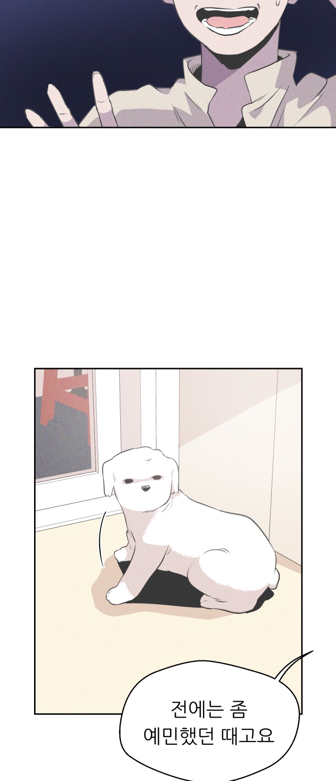 54 페이지