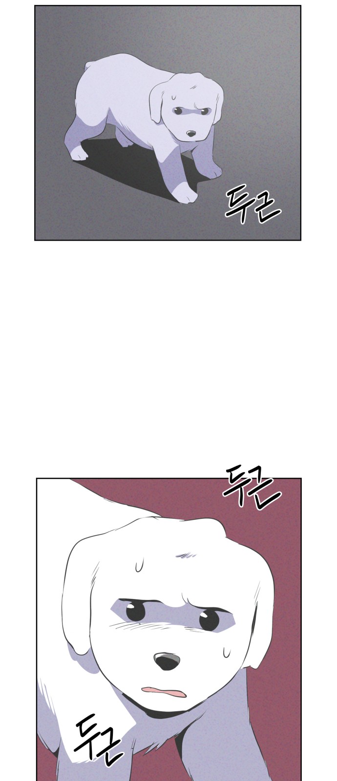 14 페이지