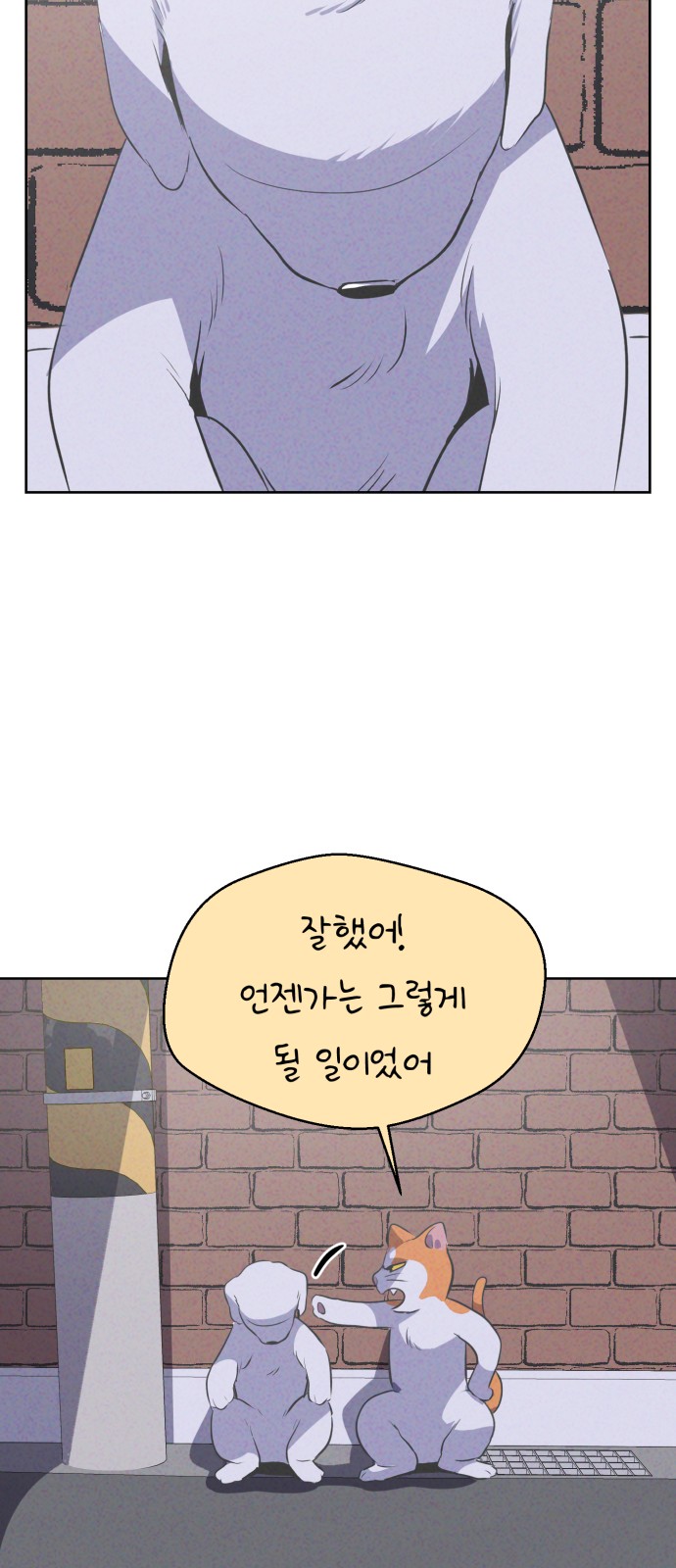 20 페이지