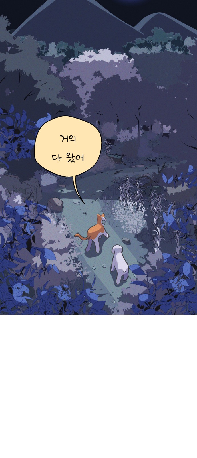 37 페이지