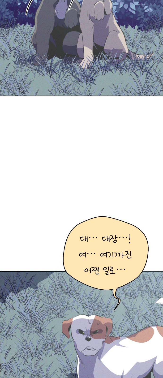 41 페이지
