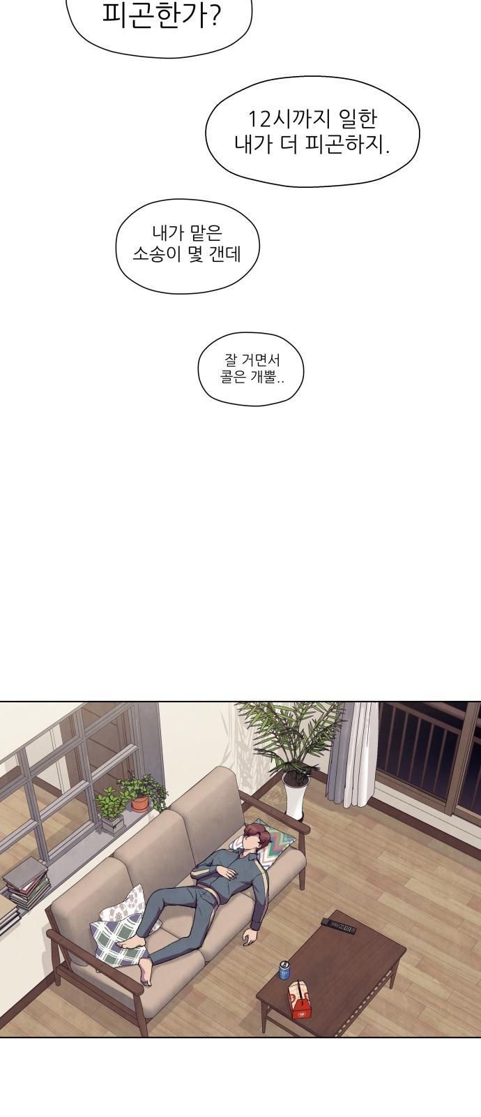 13 페이지