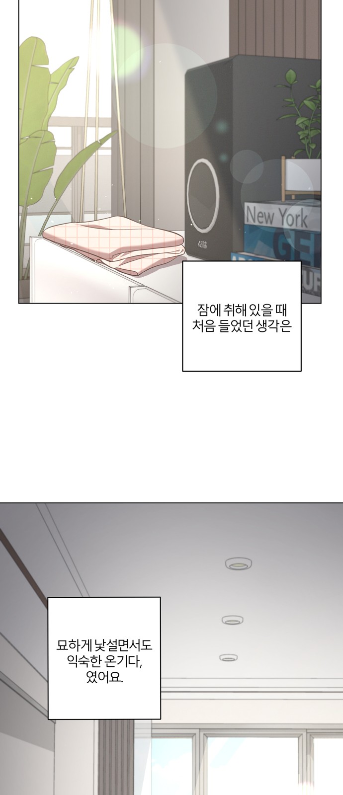 45 페이지