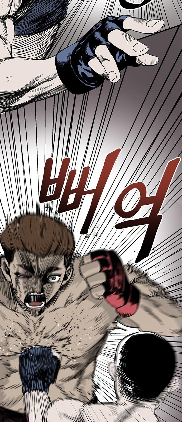 56 페이지