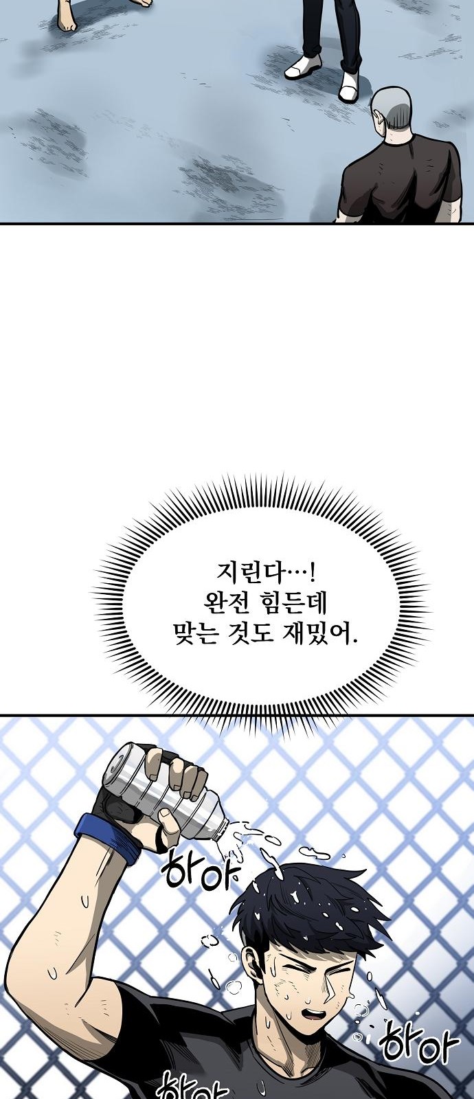 43 페이지