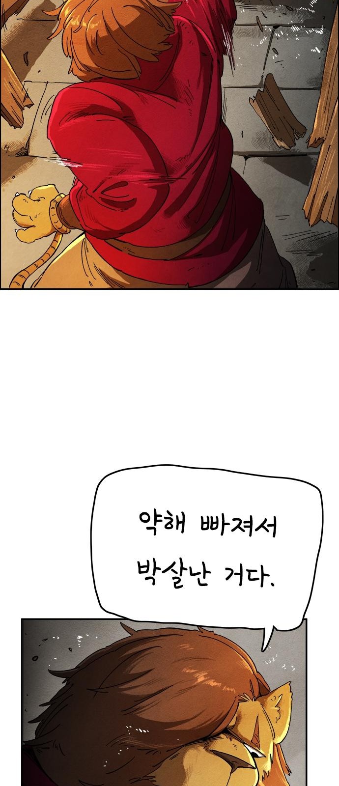 71 페이지