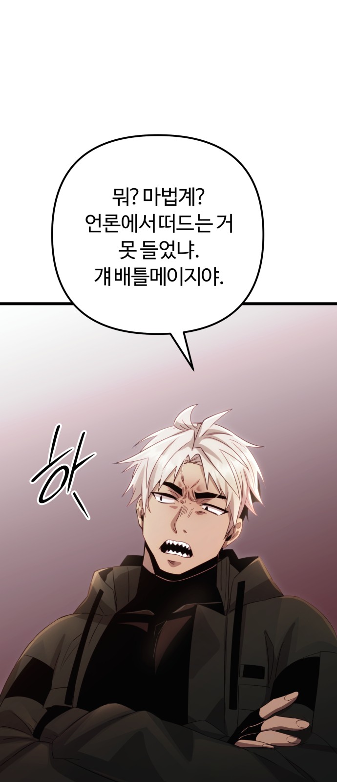 66 페이지