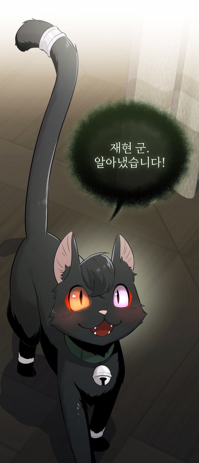 11 페이지