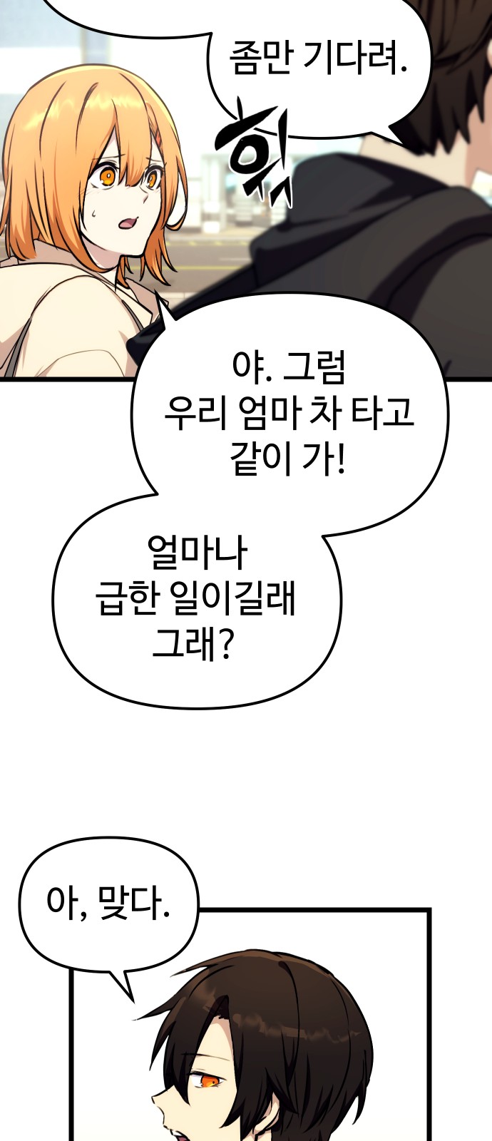 46 페이지