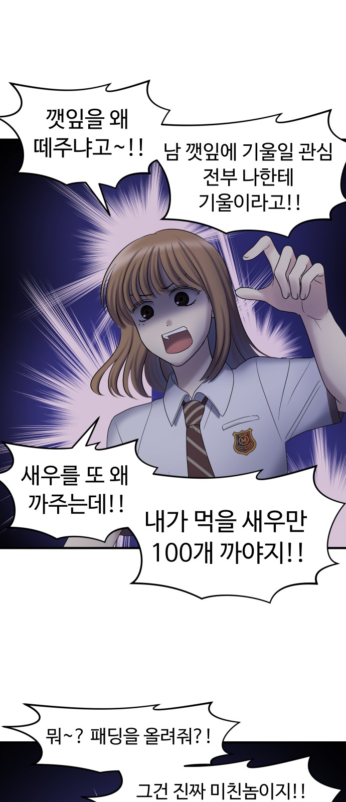 13 페이지