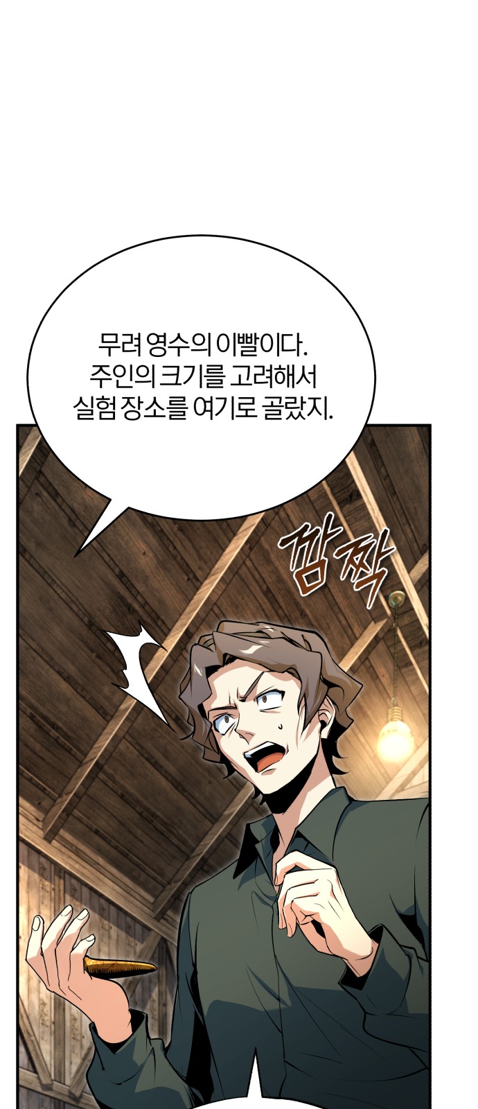 20 페이지