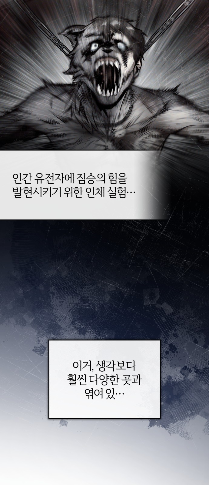47 페이지