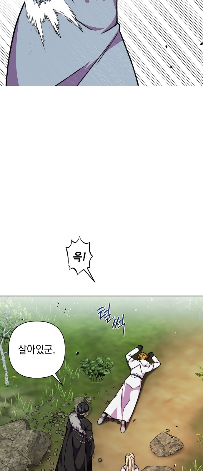 51 페이지