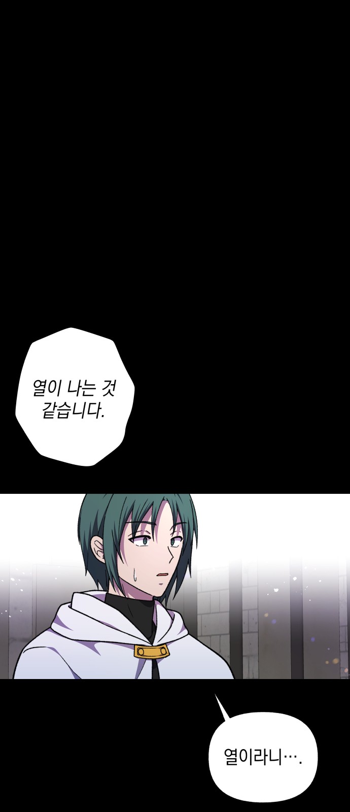 71 페이지