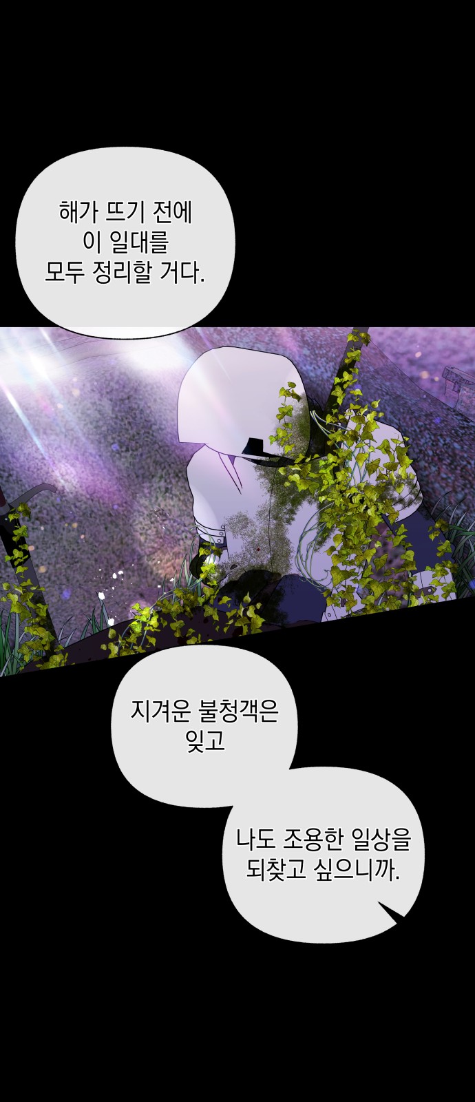 52 페이지