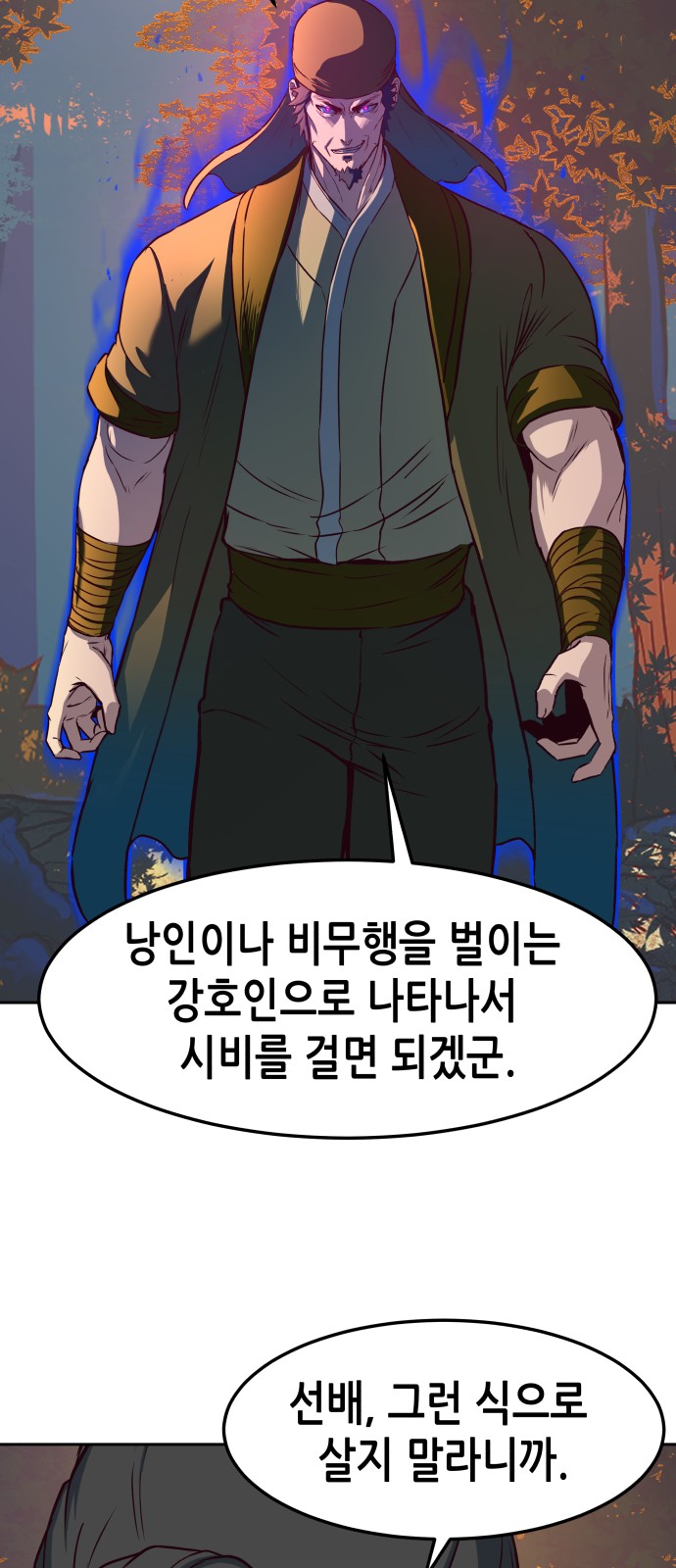 43 페이지